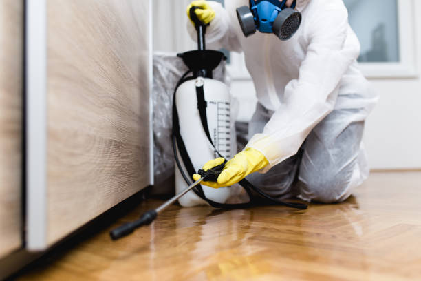 Best Affordable Pest Control Services  in Franklin, PA