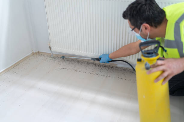 Best Emergency Pest Control  in Franklin, PA